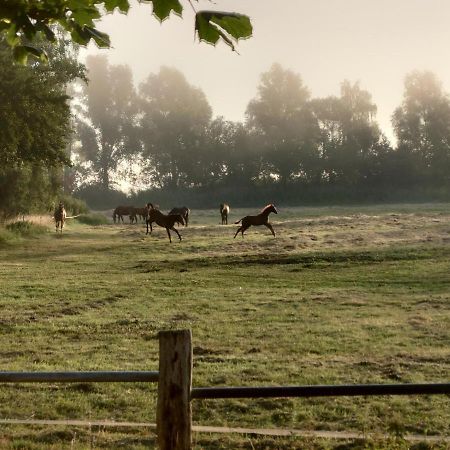 Kleenes Haffhus Ueckermünde エクステリア 写真