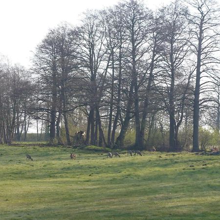 Kleenes Haffhus Ueckermünde エクステリア 写真