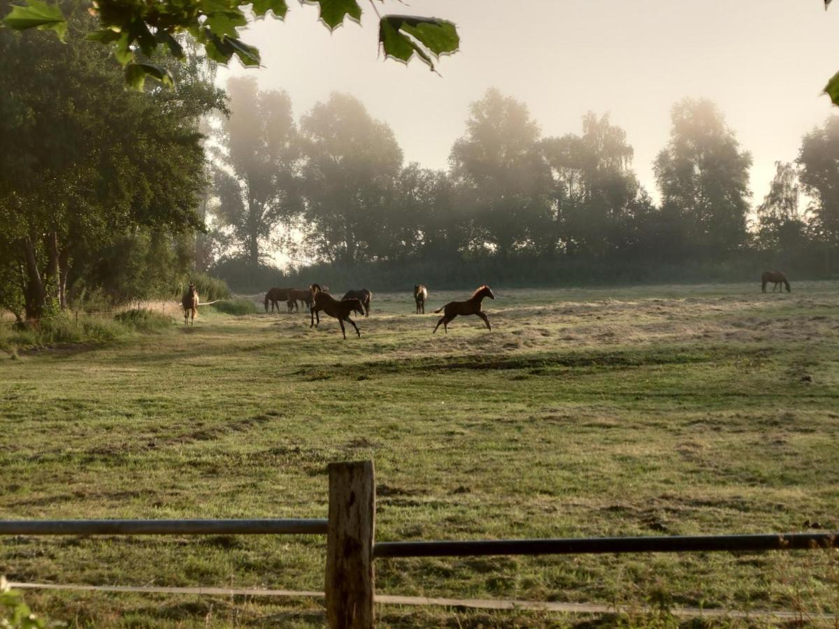 Kleenes Haffhus Ueckermünde エクステリア 写真