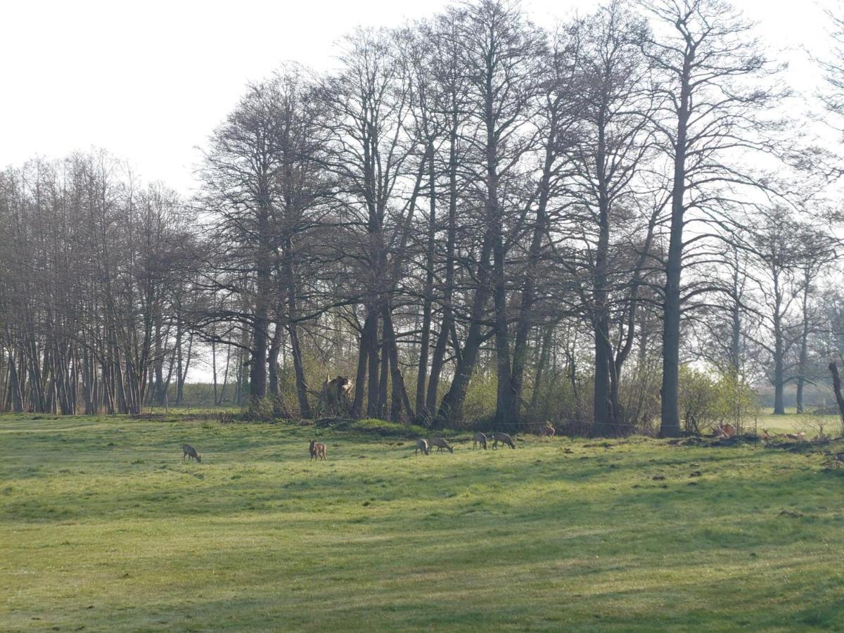 Kleenes Haffhus Ueckermünde エクステリア 写真